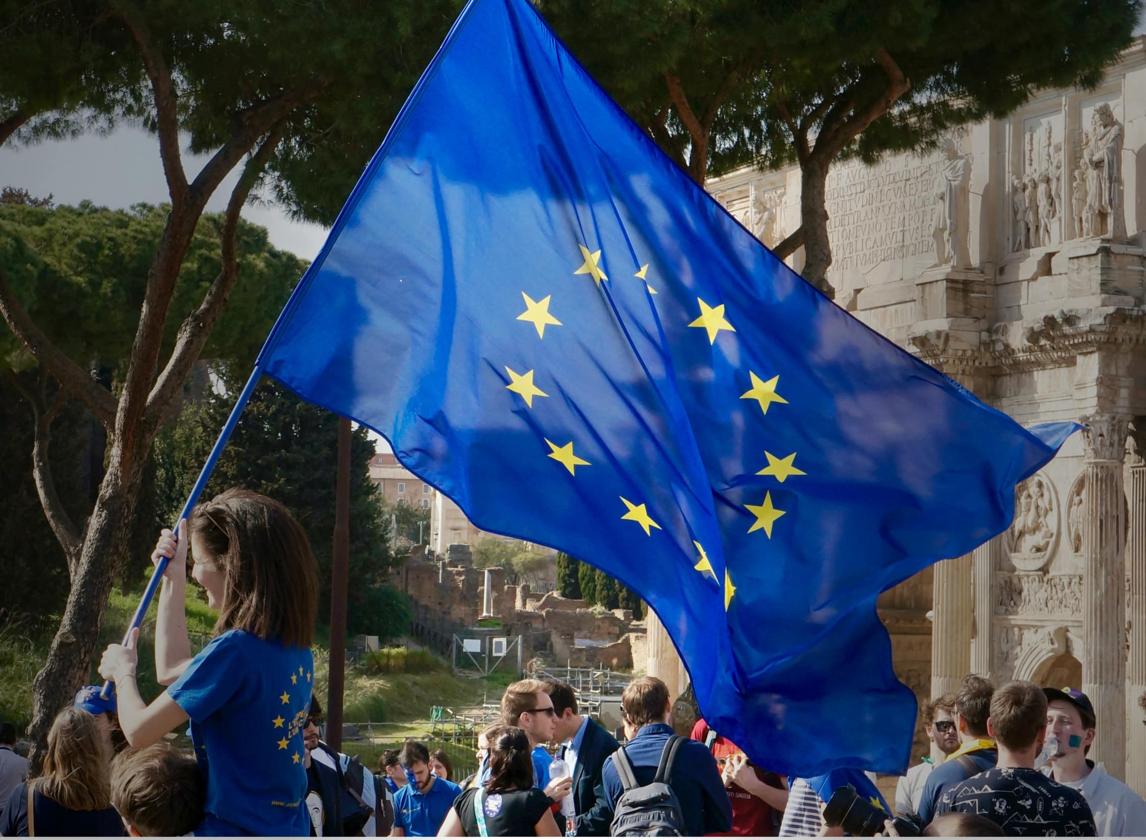 European Union Flag
