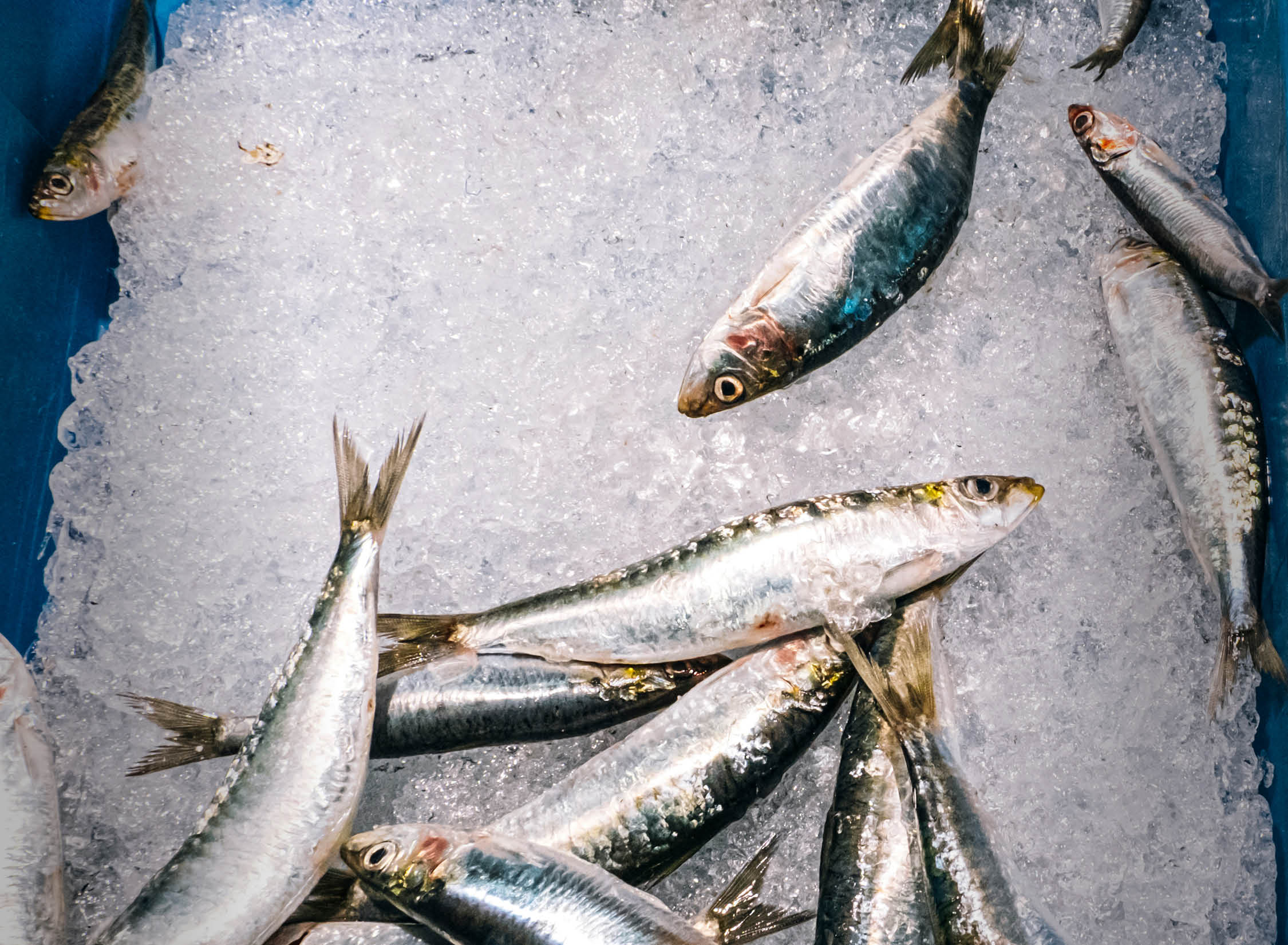 Depleted fish stock